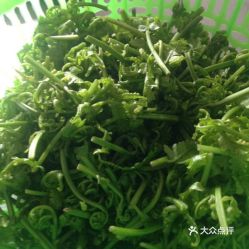 寻味祁门 品味原生态徽菜，邂逅舌尖上的古徽州