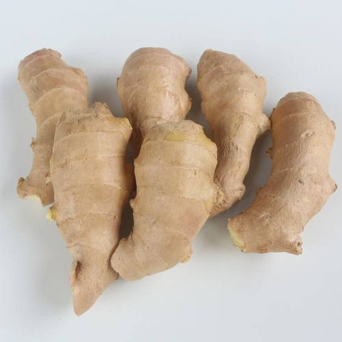 山东特产风干黄姜 原生态食材的味蕾盛宴